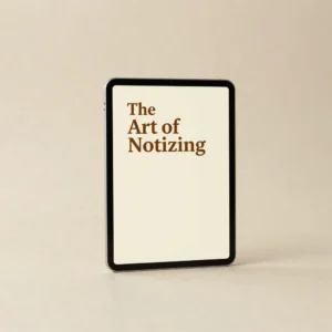 The Art of Noticing PDF